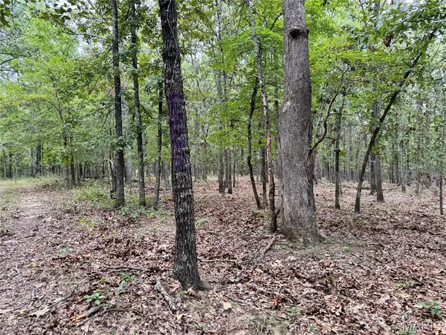 $4,200,000 | 689 Hoot Owl Lane, Grandin, MO 63943