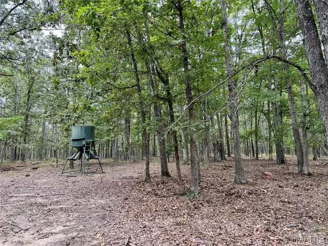 $4,200,000 | 689 Hoot Owl Lane, Grandin, MO 63943