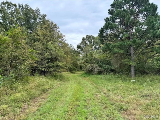 $4,200,000 | 689 Hoot Owl Lane, Grandin, MO 63943