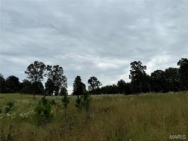 $4,200,000 | 689 Hoot Owl Lane, Grandin, MO 63943