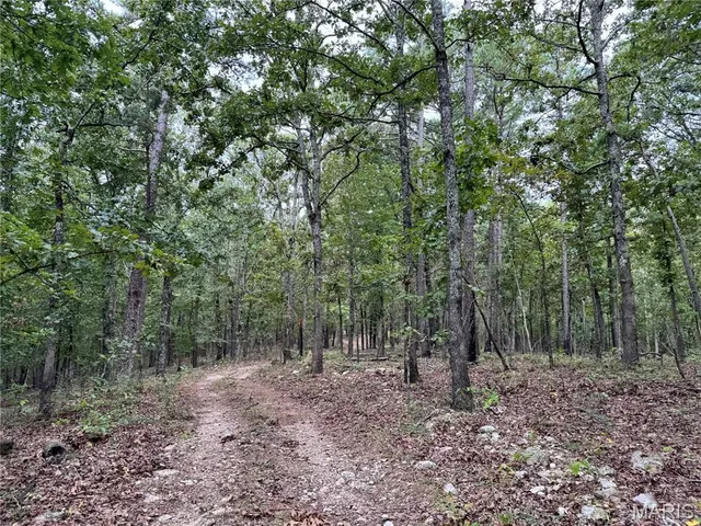 $4,200,000 | 689 Hoot Owl Lane, Grandin, MO 63943