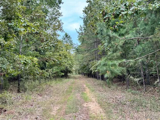 $4,200,000 | 689 Hoot Owl Lane, Grandin, MO 63943