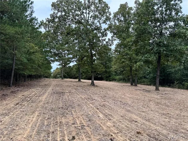 $4,200,000 | 689 Hoot Owl Lane, Grandin, MO 63943