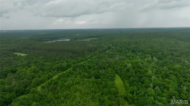 $4,200,000 | 689 Hoot Owl Lane, Grandin, MO 63943