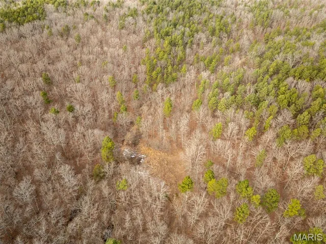 $4,200,000 | 689 Hoot Owl Lane, Grandin, MO 63943