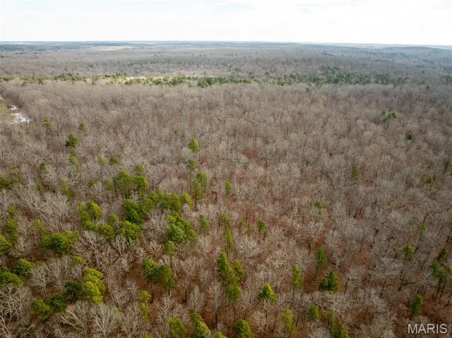 $4,200,000 | 689 Hoot Owl Lane, Grandin, MO 63943