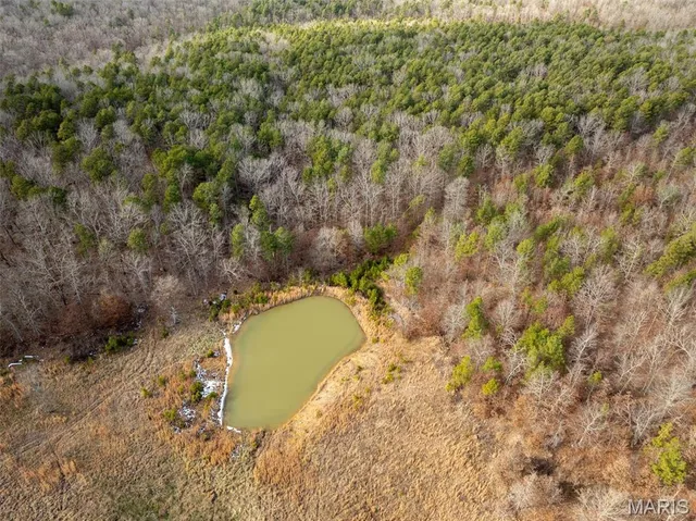 $4,200,000 | 689 Hoot Owl Lane, Grandin, MO 63943