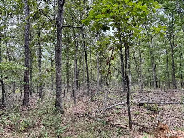 $4,200,000 | 689 Hoot Owl Lane, Grandin, MO 63943