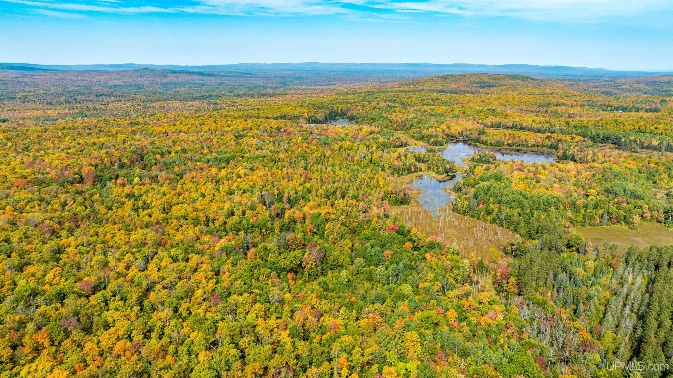 Tbd Bergland Road Bergland, MI 49910 - Photo 22 of 54 Gallery Image 22