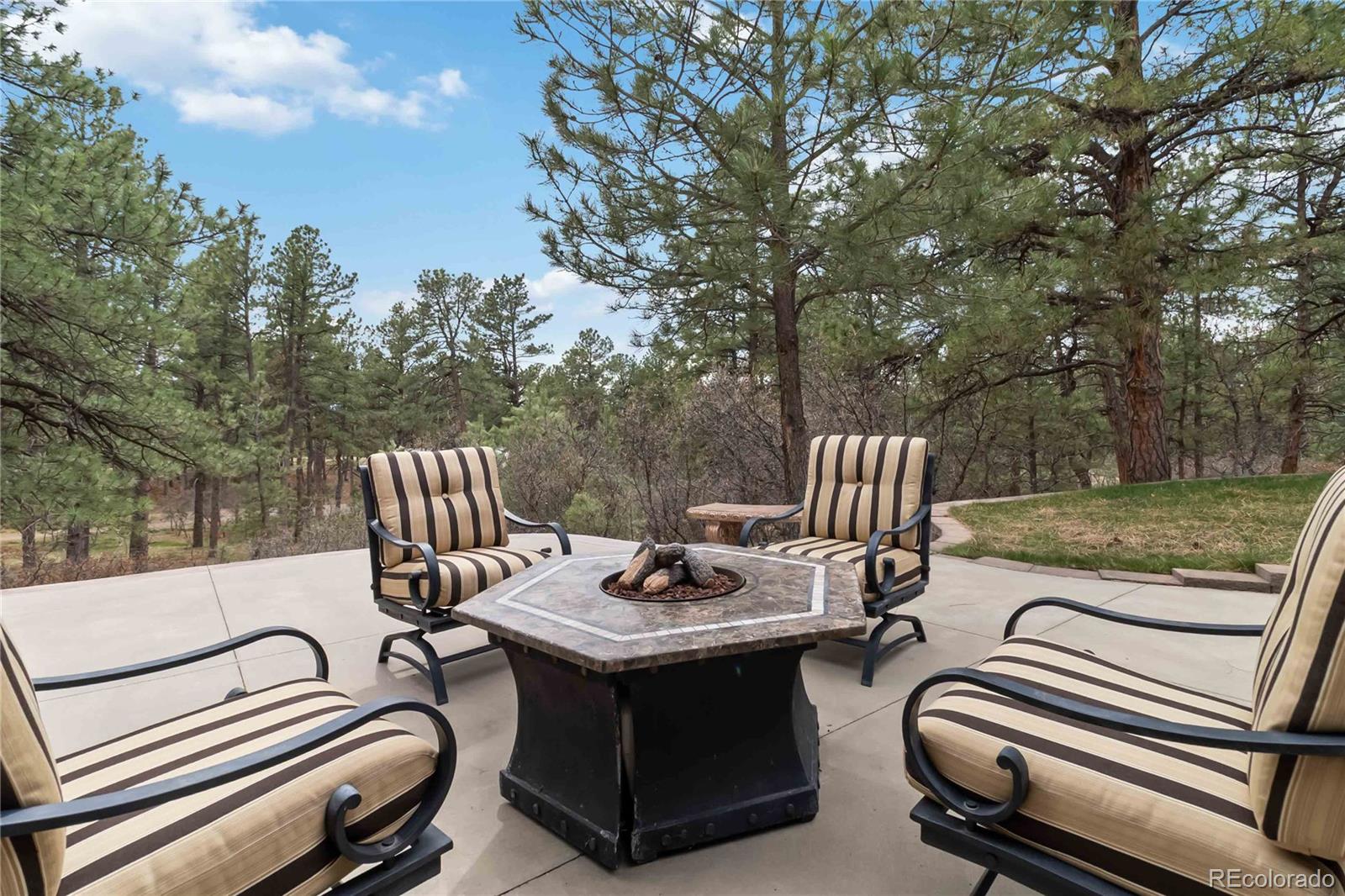 1125 Deerpath Road Franktown, CO 80116 - Photo 8 of 45
