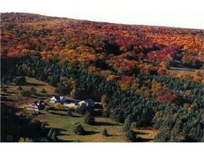 7 Garvin Hill Road Hartland, VT 05048 - Photo 2 of 9