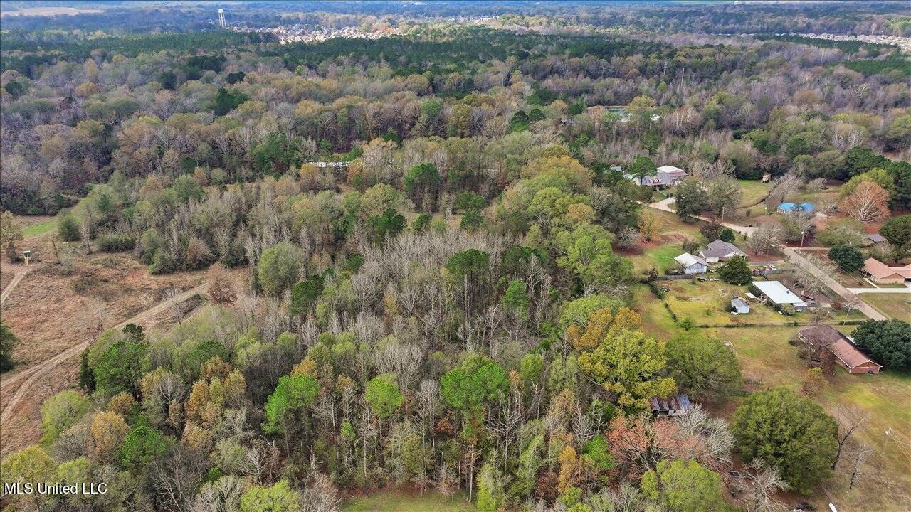 Highland Drive Drive Florence, MS 39073 - Photo 13 of 16 06-Highland Dr _ Home Tours MS with line