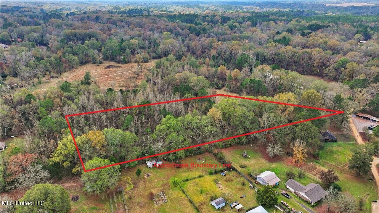 Highland Drive Drive Florence, MS 39073 - Photo 15 of 16 08-Highland Dr _ Home Tours MS with line