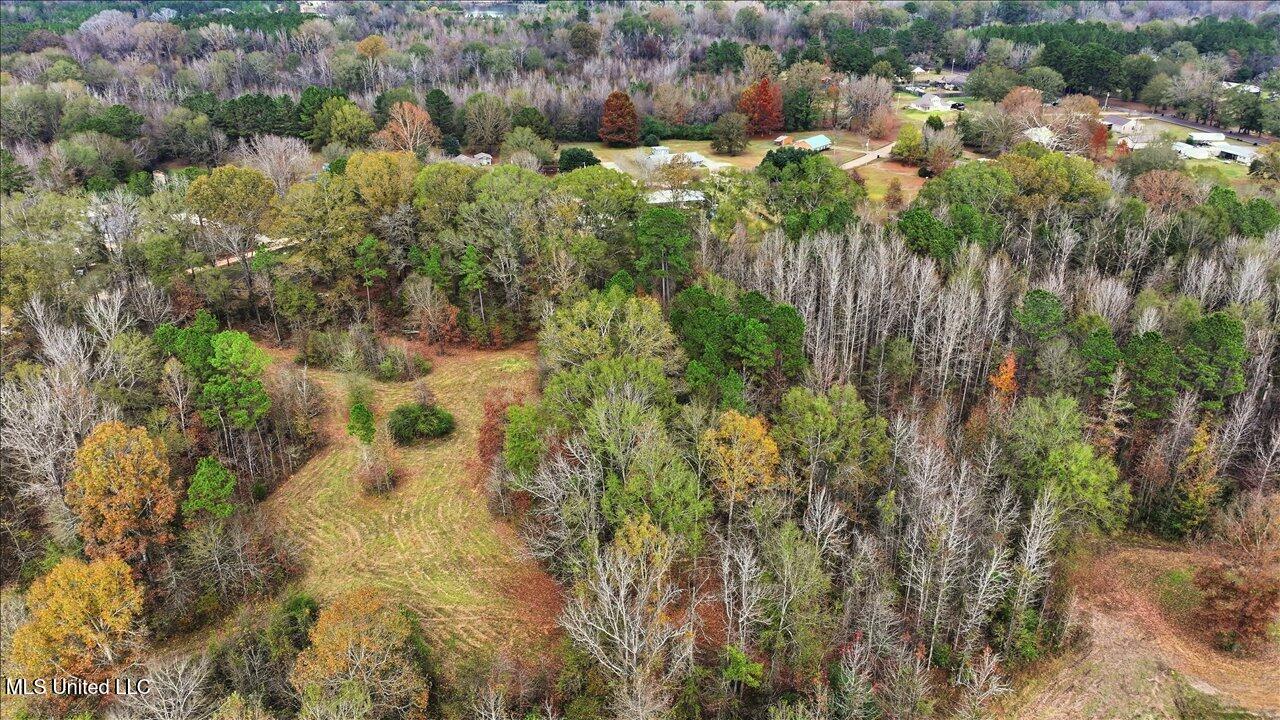 Highland Drive Drive Florence, MS 39073 - Photo 6 of 16 21-Highland Dr _ Home Tours MS