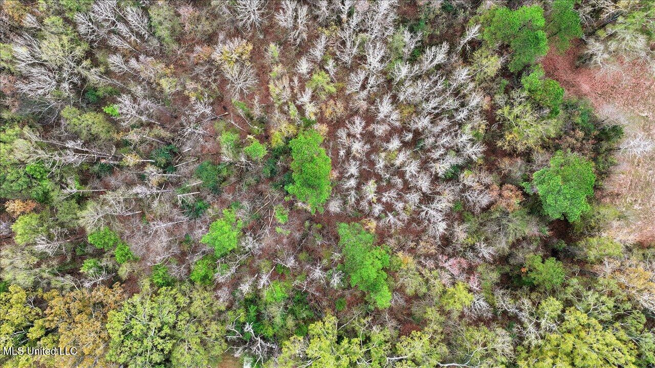 Highland Drive Drive Florence, MS 39073 - Photo 9 of 16 14-Highland Dr _ Home Tours MS