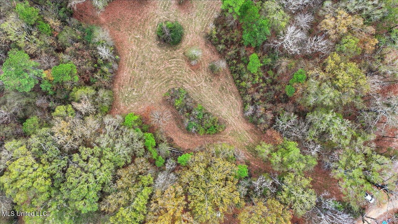 Highland Drive Drive Florence, MS 39073 - Photo 10 of 16 13-Highland Dr _ Home Tours MS