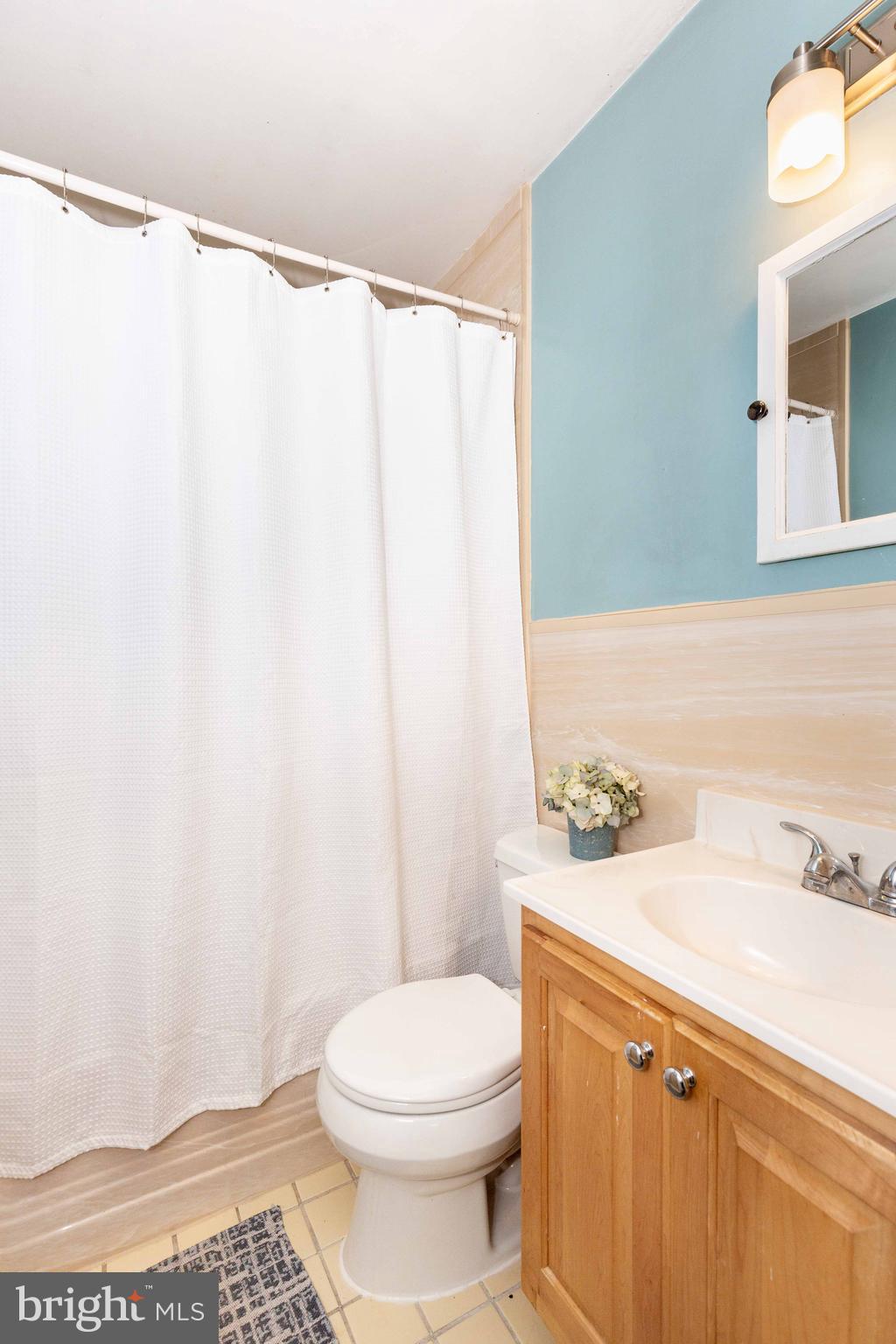802 Templecliff Road Baltimore, MD 21208 - Photo 20 of 30 a bathroom with a sink a toilet and shower curtain