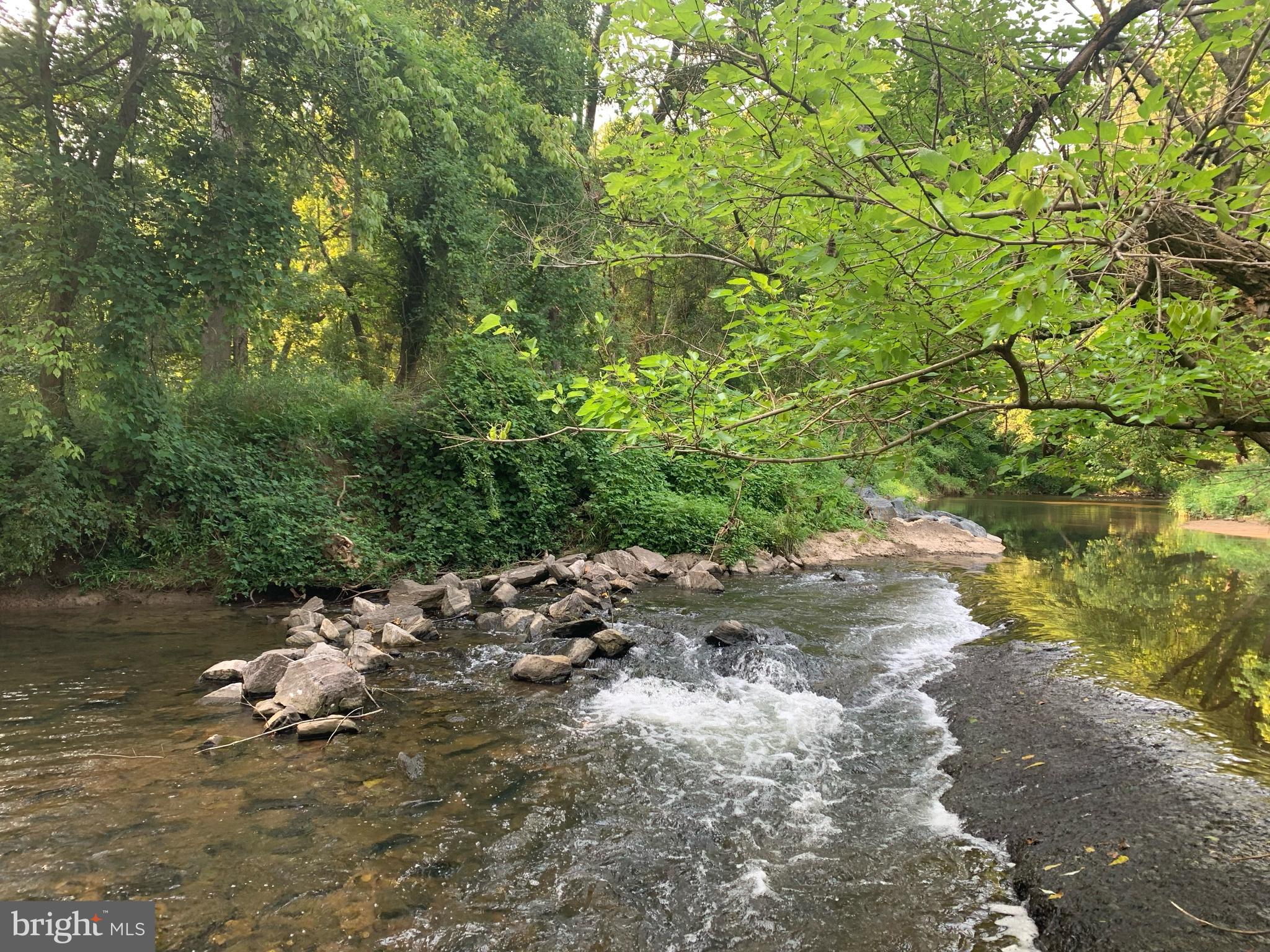802 Templecliff Road Baltimore, MD 21208 - Photo 27 of 30 a close up of a tree in a yard
