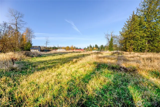 a view of a field with trees in the background