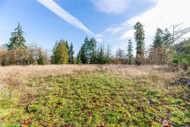 a view of an outdoor space