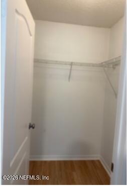749 Ginger Mill Drive St. Johns, FL 32259 - Photo 7 of 13 Closet 1