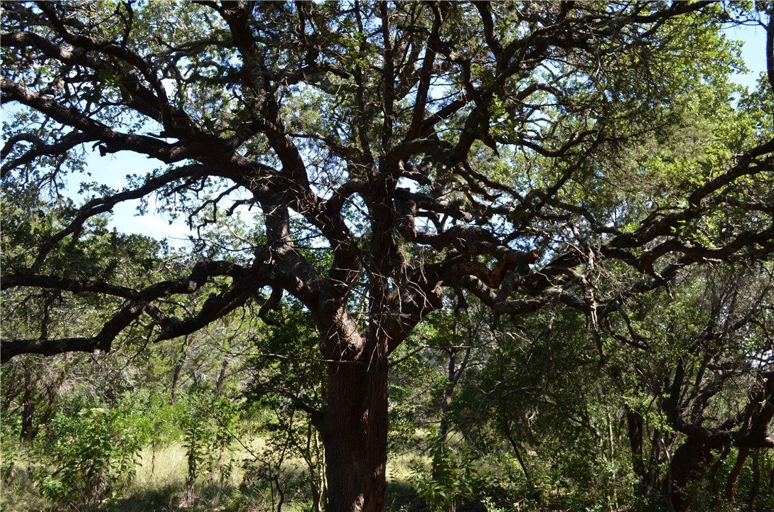750 Water Park Road Wimberley, TX 78676 - Photo 1 of 1 Gallery Image 1