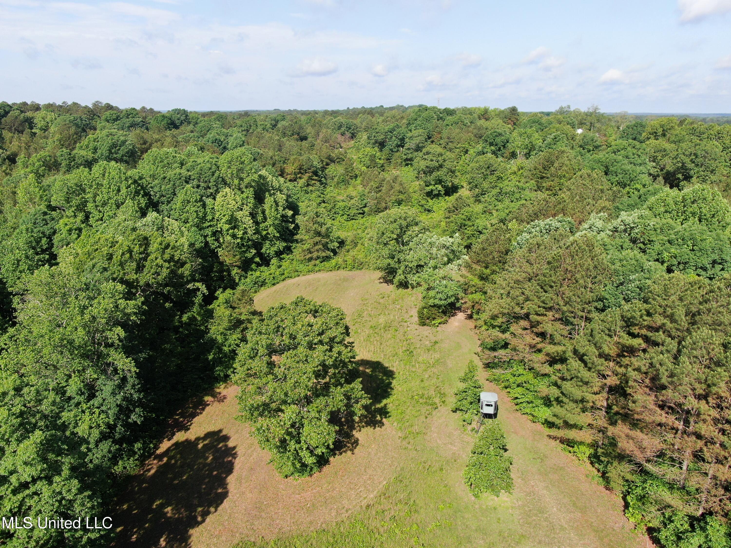 271 Winborn Tower Road Potts Camp, MS 38659 - Photo 11 of 66 DJI_0565