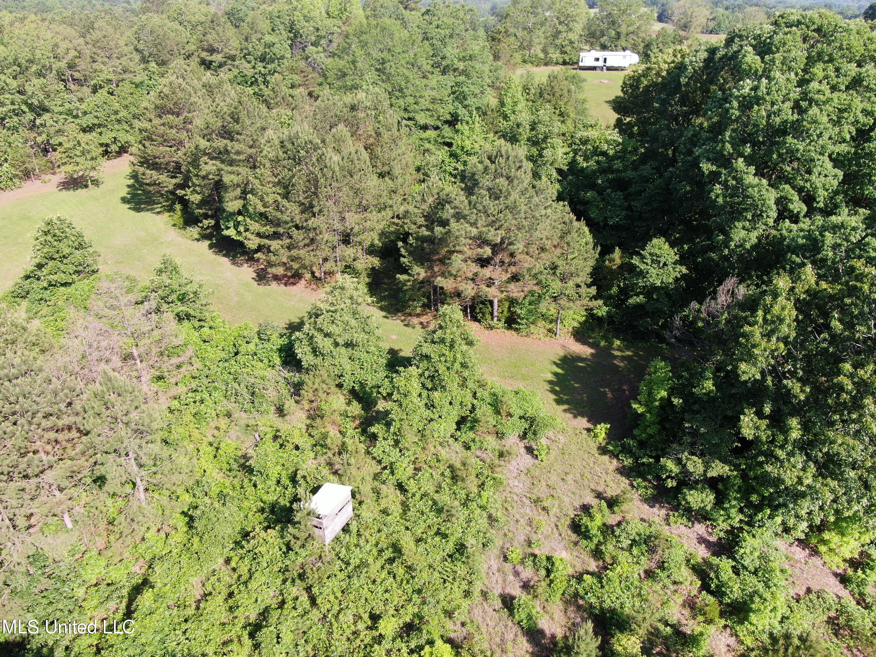 271 Winborn Tower Road Potts Camp, MS 38659 - Photo 12 of 66 DJI_0566