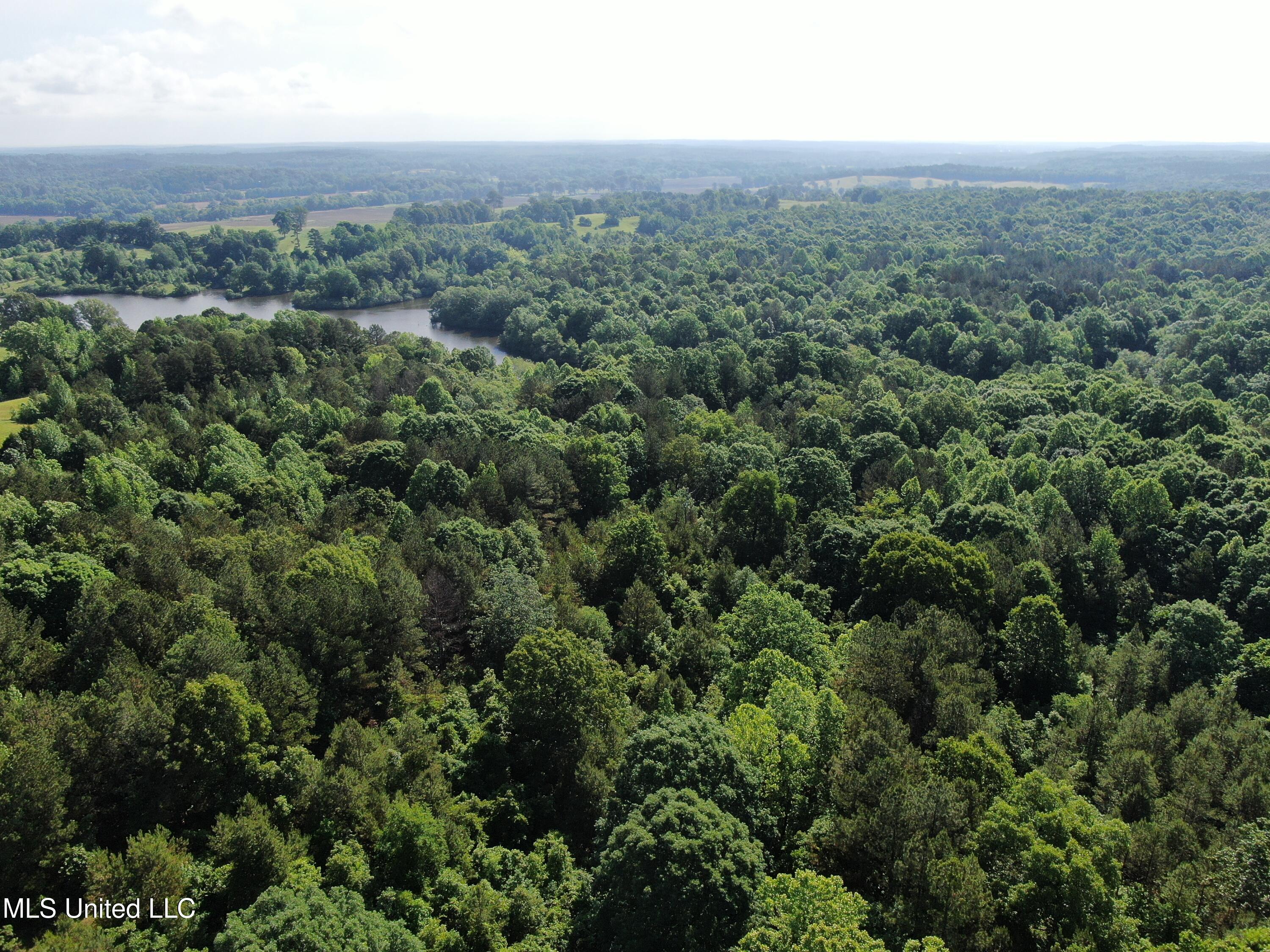 271 Winborn Tower Road Potts Camp, MS 38659 - Photo 14 of 66 DJI_0568