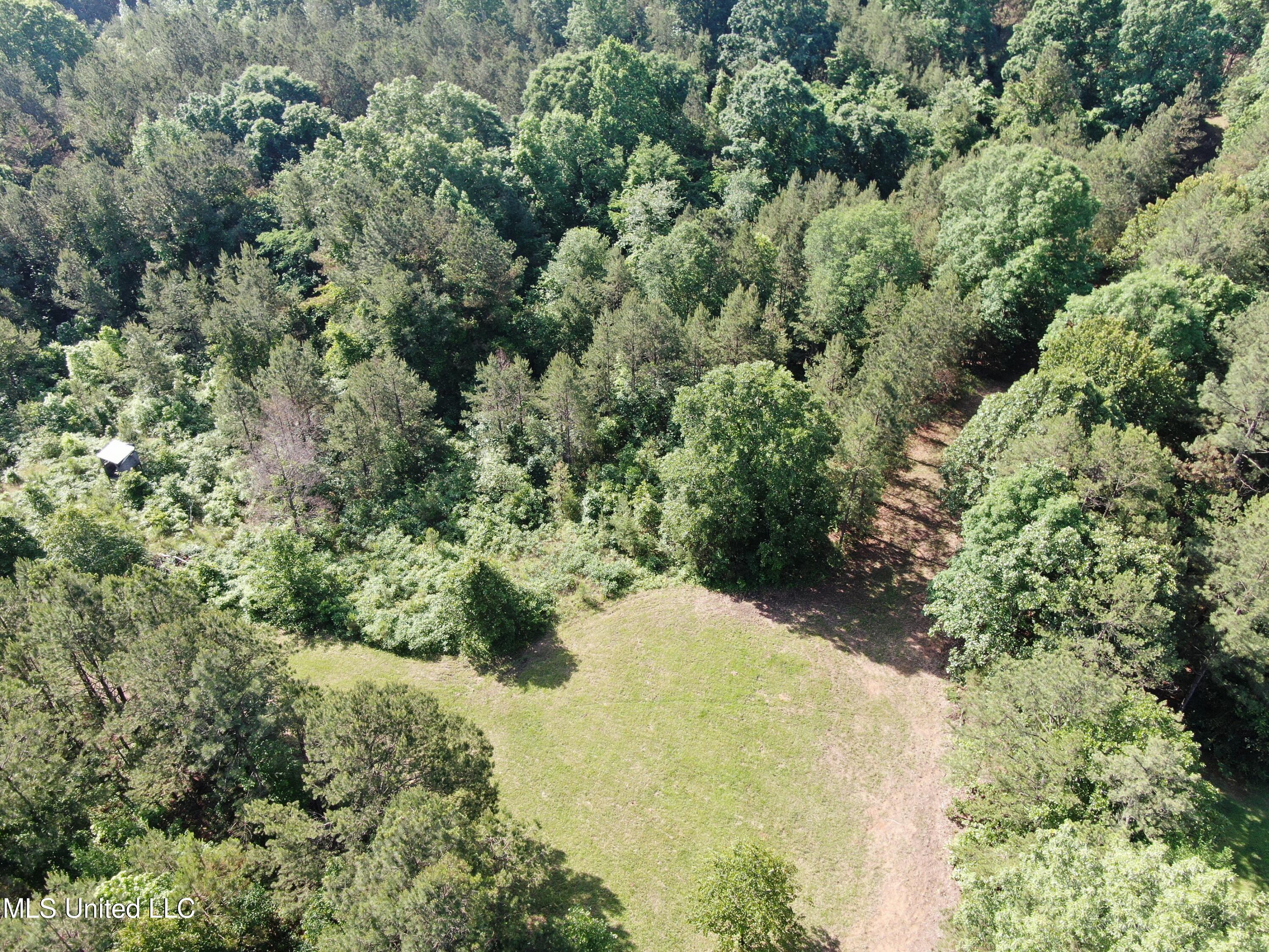 271 Winborn Tower Road Potts Camp, MS 38659 - Photo 17 of 66 DJI_0571