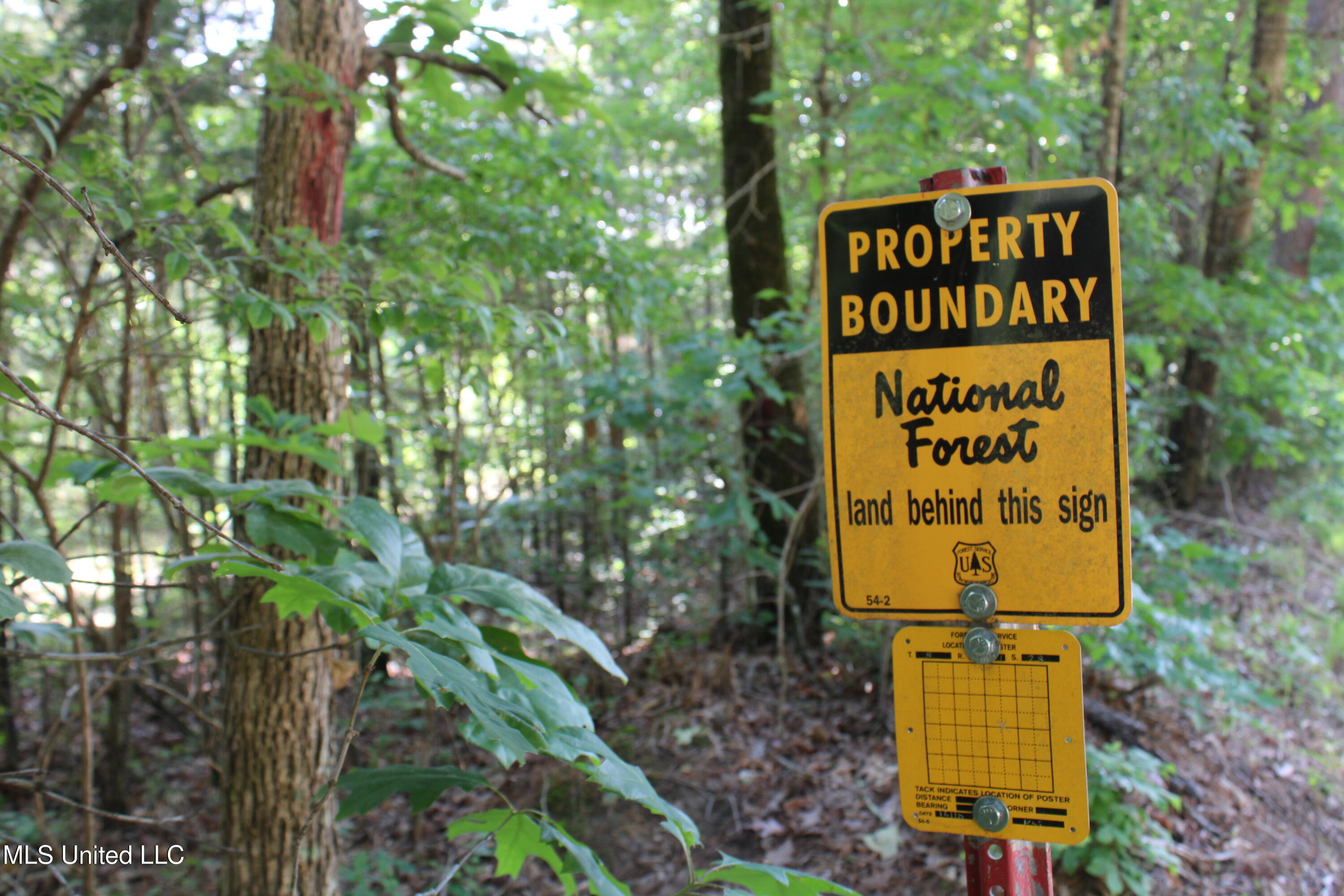 271 Winborn Tower Road Potts Camp, MS 38659 - Photo 21 of 66 IMG_6075