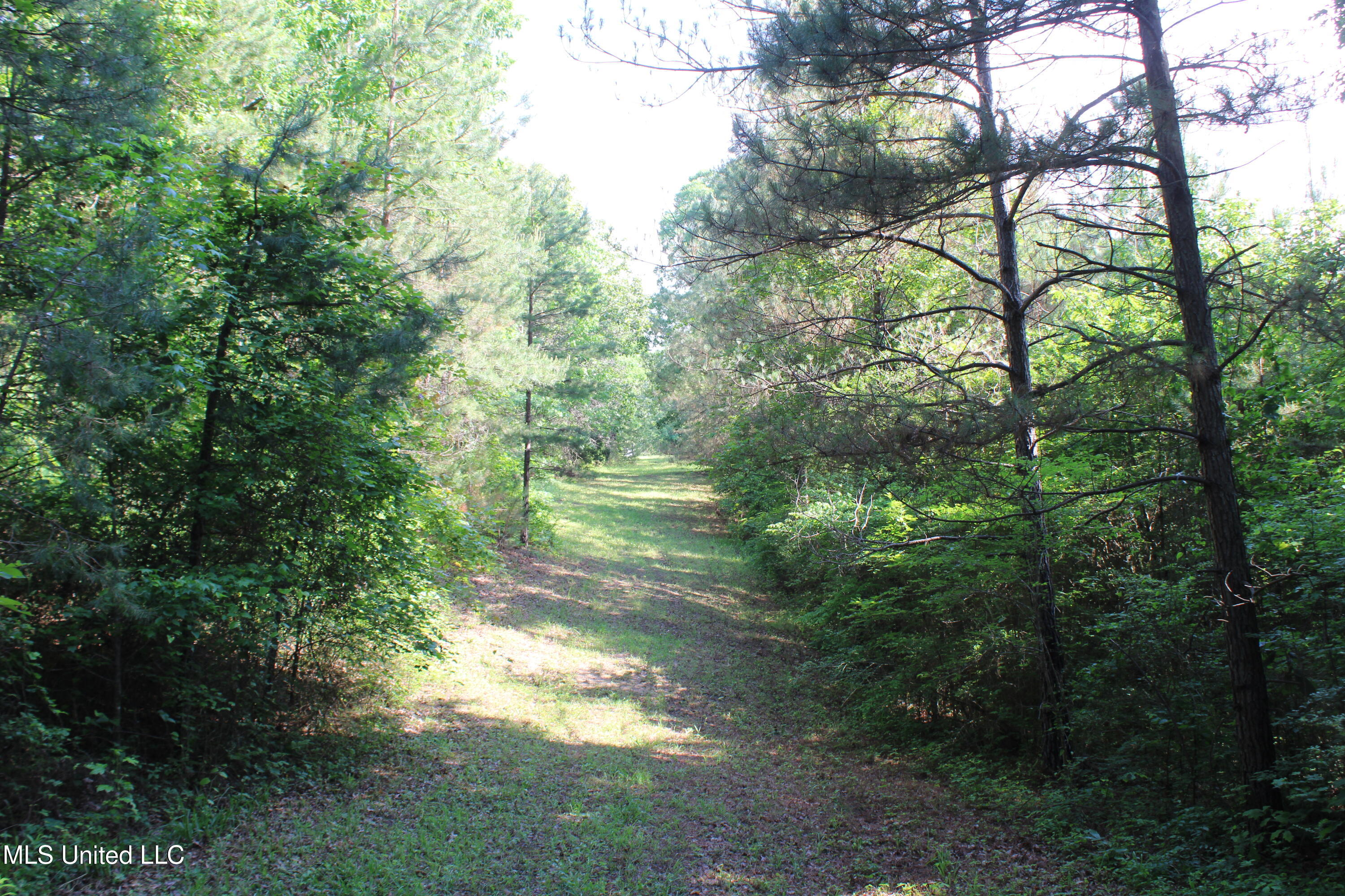 271 Winborn Tower Road Potts Camp, MS 38659 - Photo 22 of 66 IMG_6077