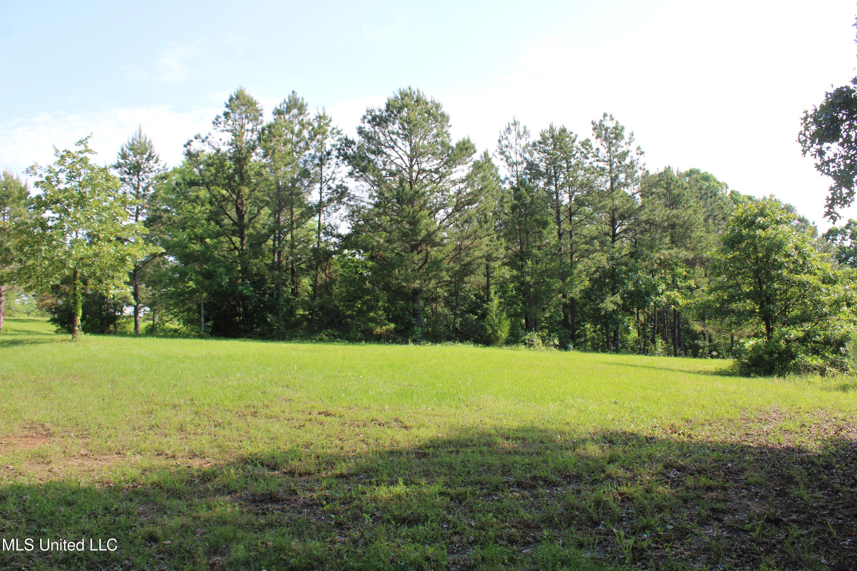 271 Winborn Tower Road Potts Camp, MS 38659 - Photo 24 of 66 IMG_6079