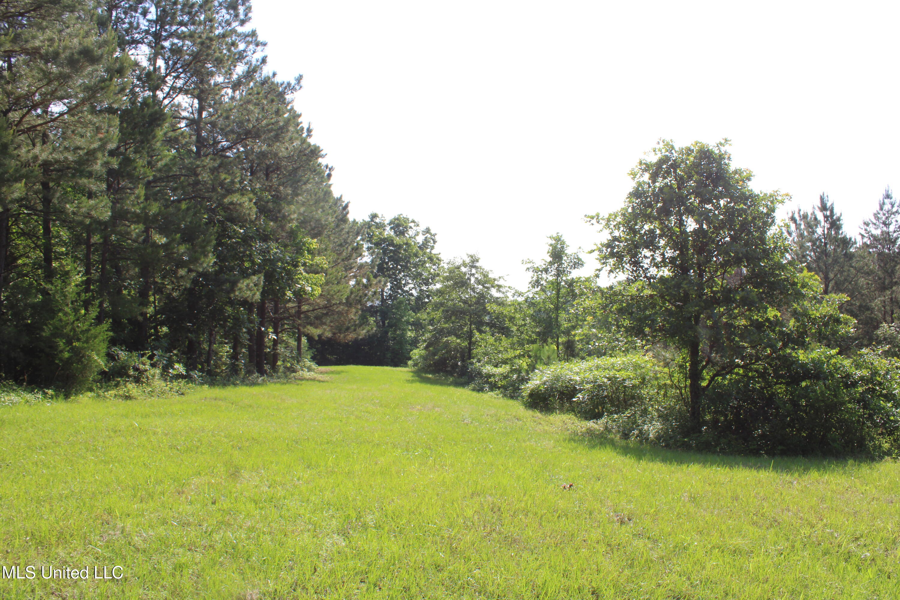 271 Winborn Tower Road Potts Camp, MS 38659 - Photo 25 of 66 IMG_6080