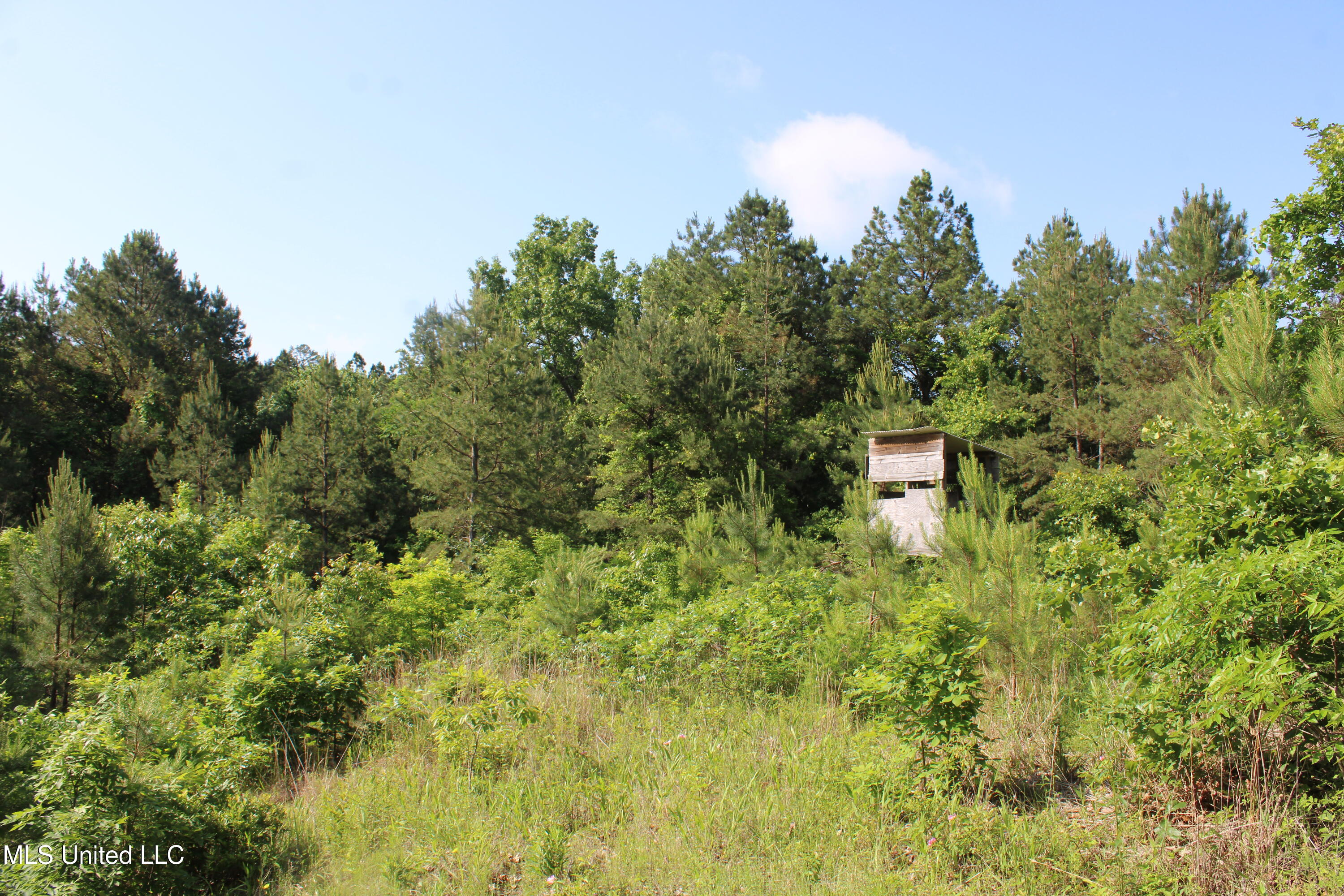271 Winborn Tower Road Potts Camp, MS 38659 - Photo 27 of 66 IMG_6082