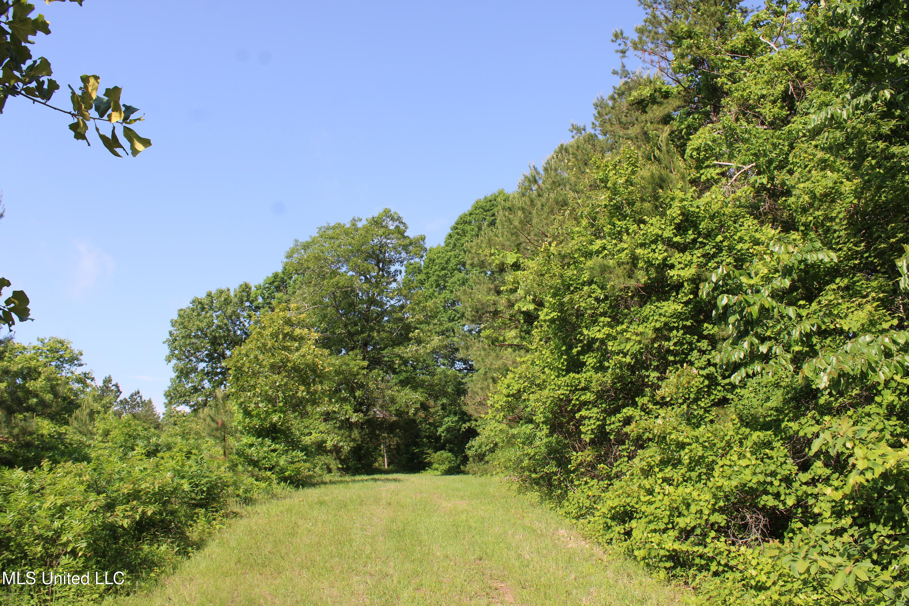 271 Winborn Tower Road Potts Camp, MS 38659 - Photo 29 of 66 IMG_6085