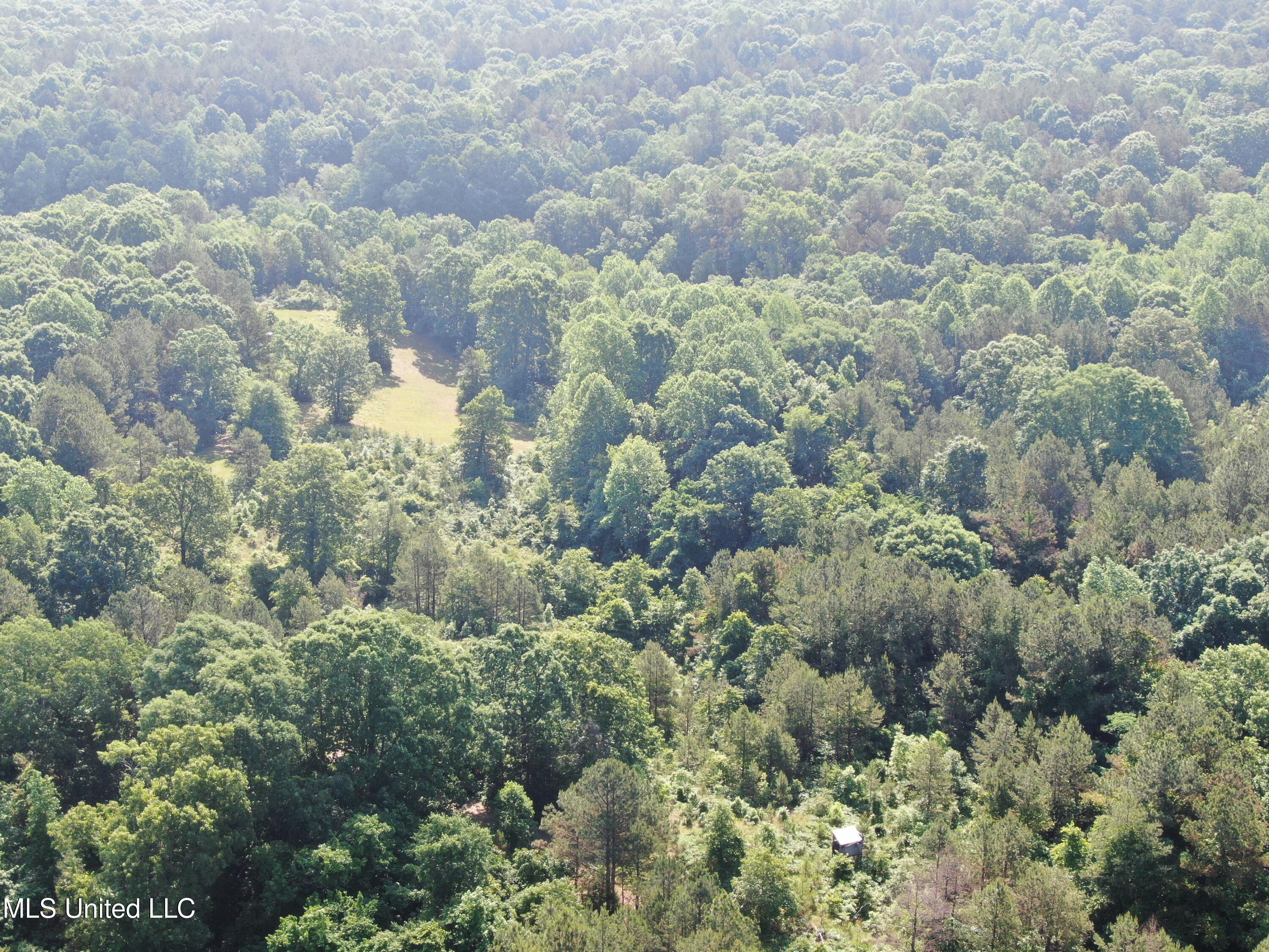 271 Winborn Tower Road Potts Camp, MS 38659 - Photo 3 of 66 DJI_0556
