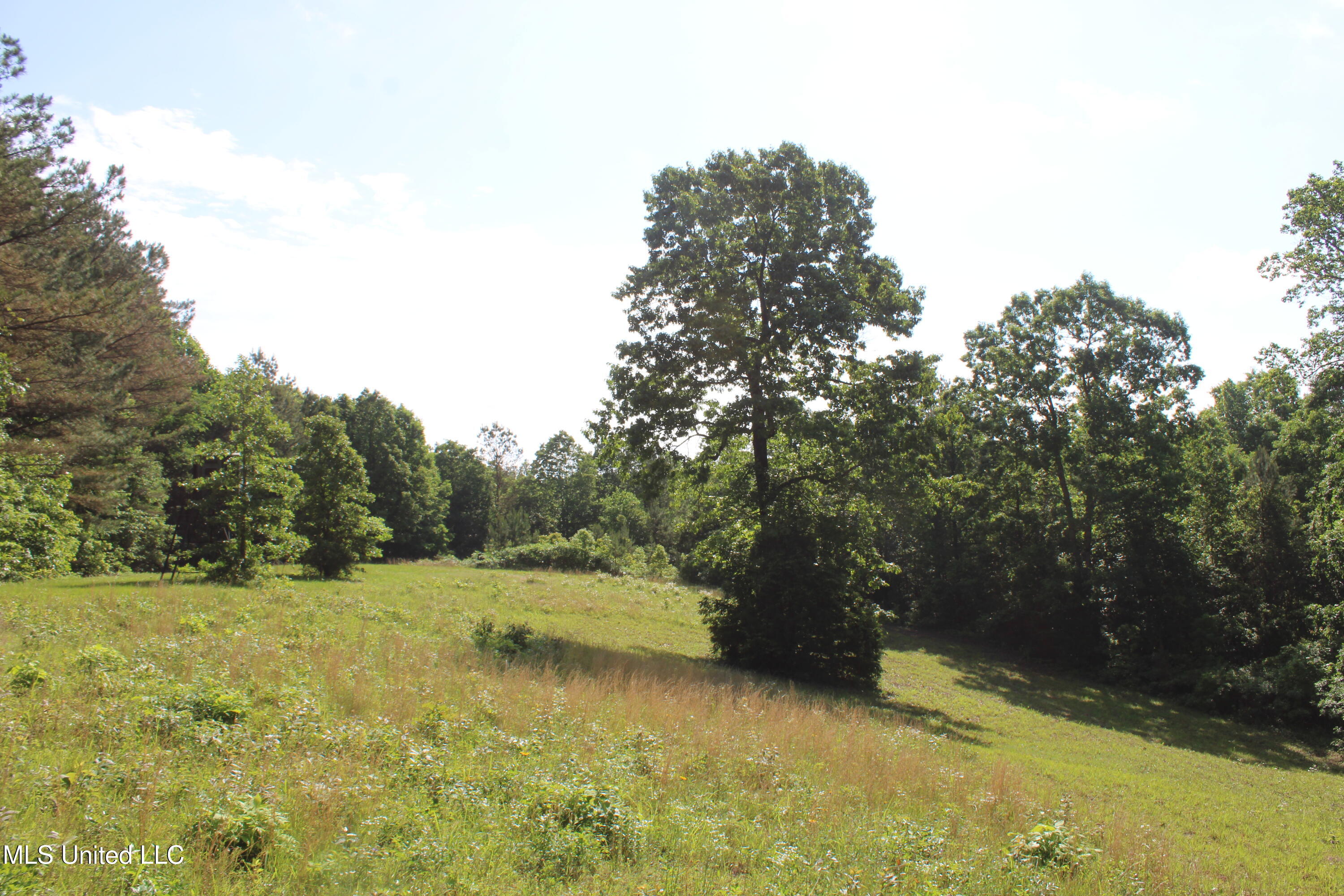 271 Winborn Tower Road Potts Camp, MS 38659 - Photo 32 of 66 IMG_6088
