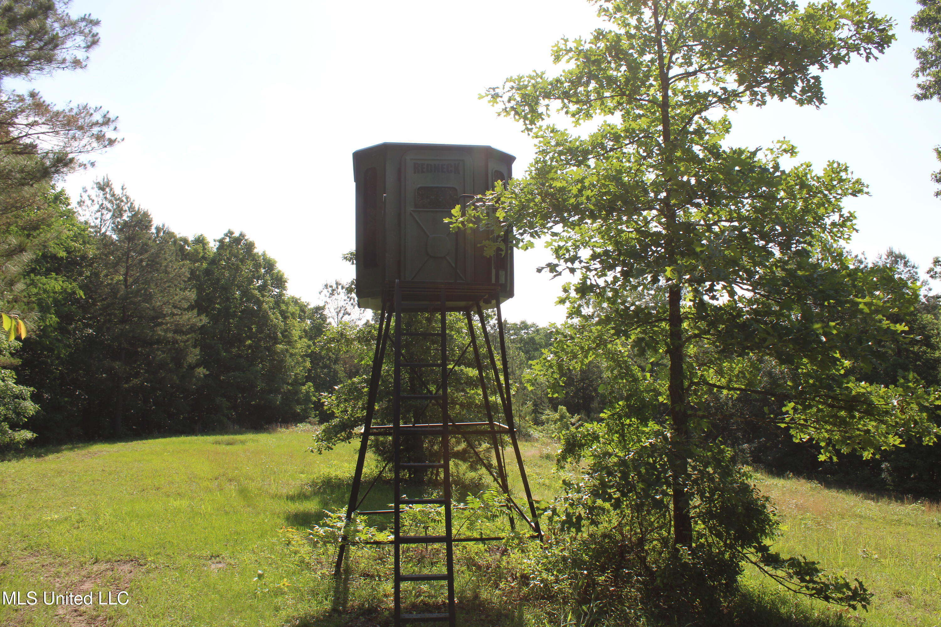 271 Winborn Tower Road Potts Camp, MS 38659 - Photo 33 of 66 IMG_6089