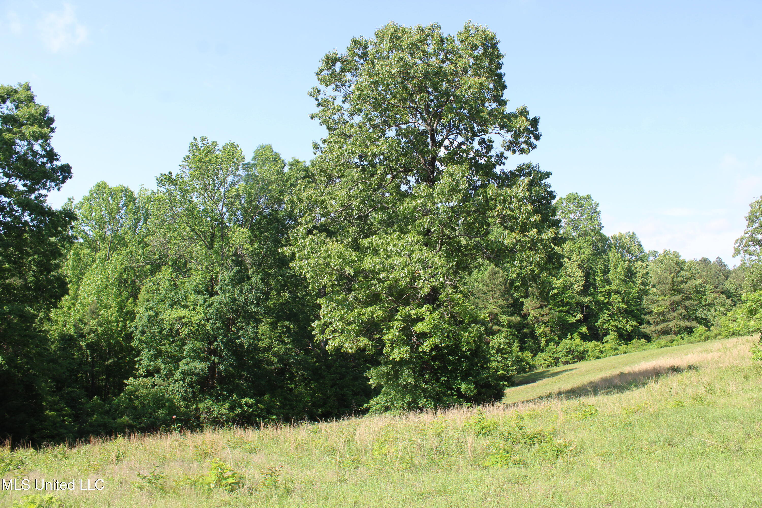 271 Winborn Tower Road Potts Camp, MS 38659 - Photo 34 of 66 IMG_6090