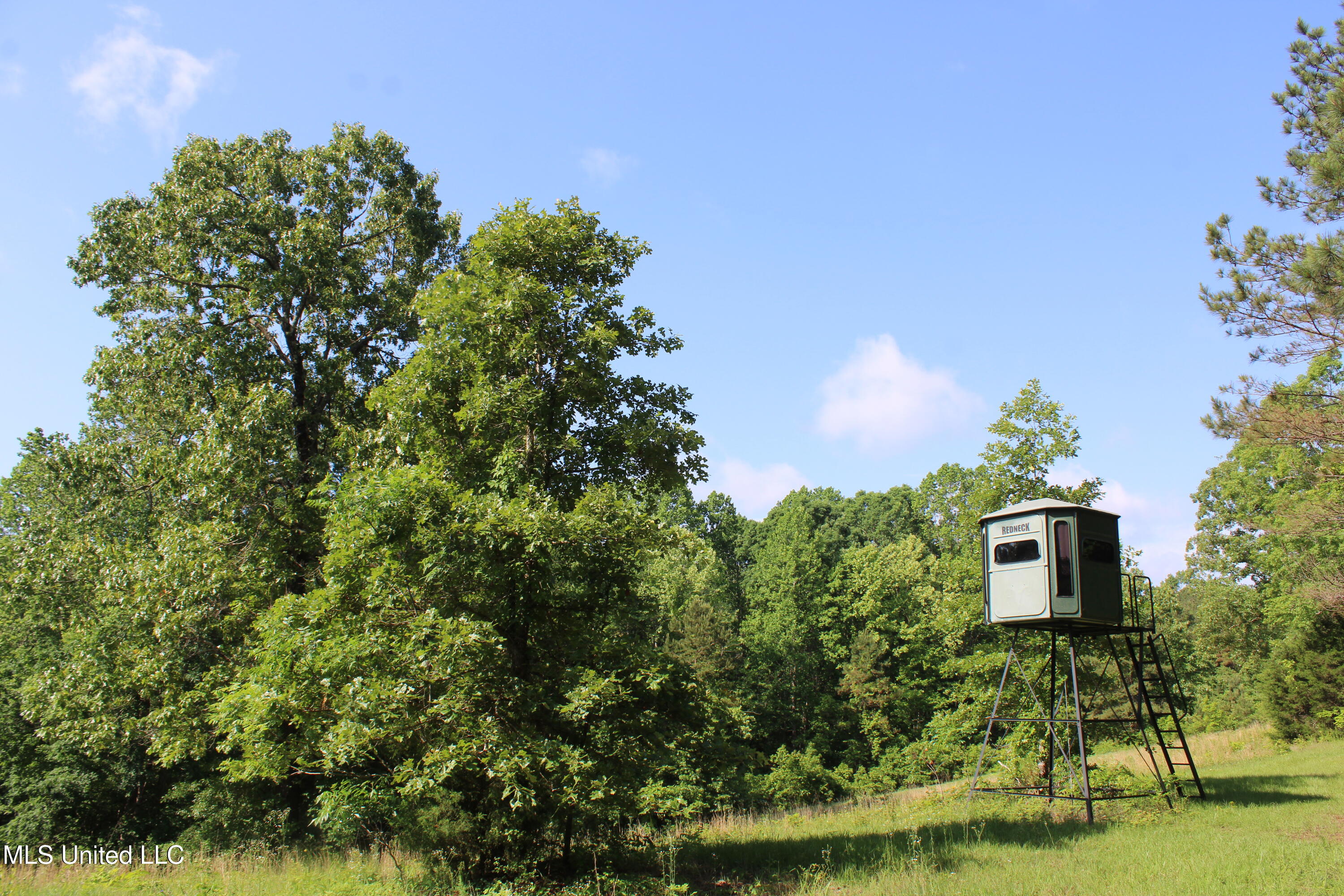 271 Winborn Tower Road Potts Camp, MS 38659 - Photo 35 of 66 IMG_6091
