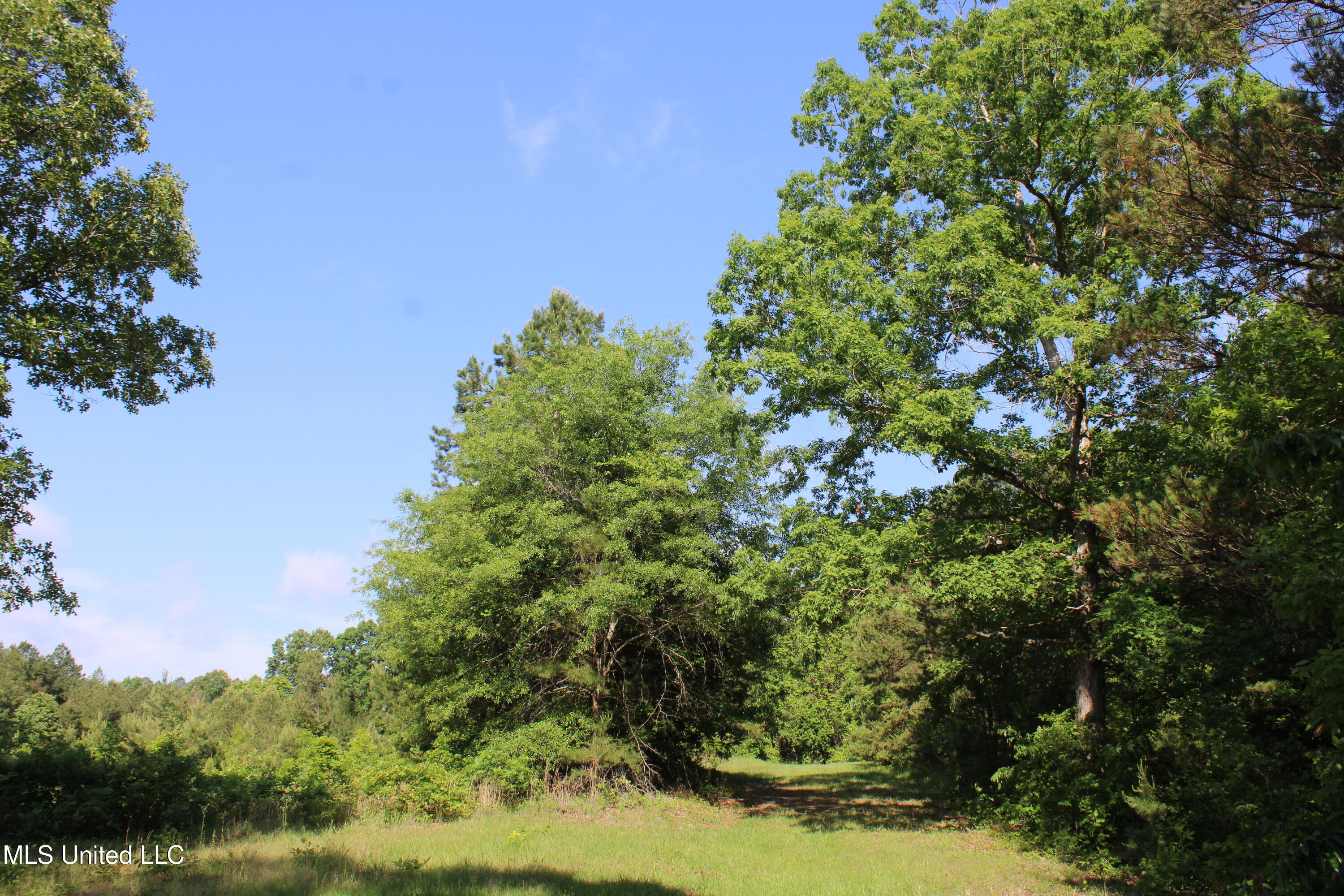 271 Winborn Tower Road Potts Camp, MS 38659 - Photo 36 of 66 IMG_6092