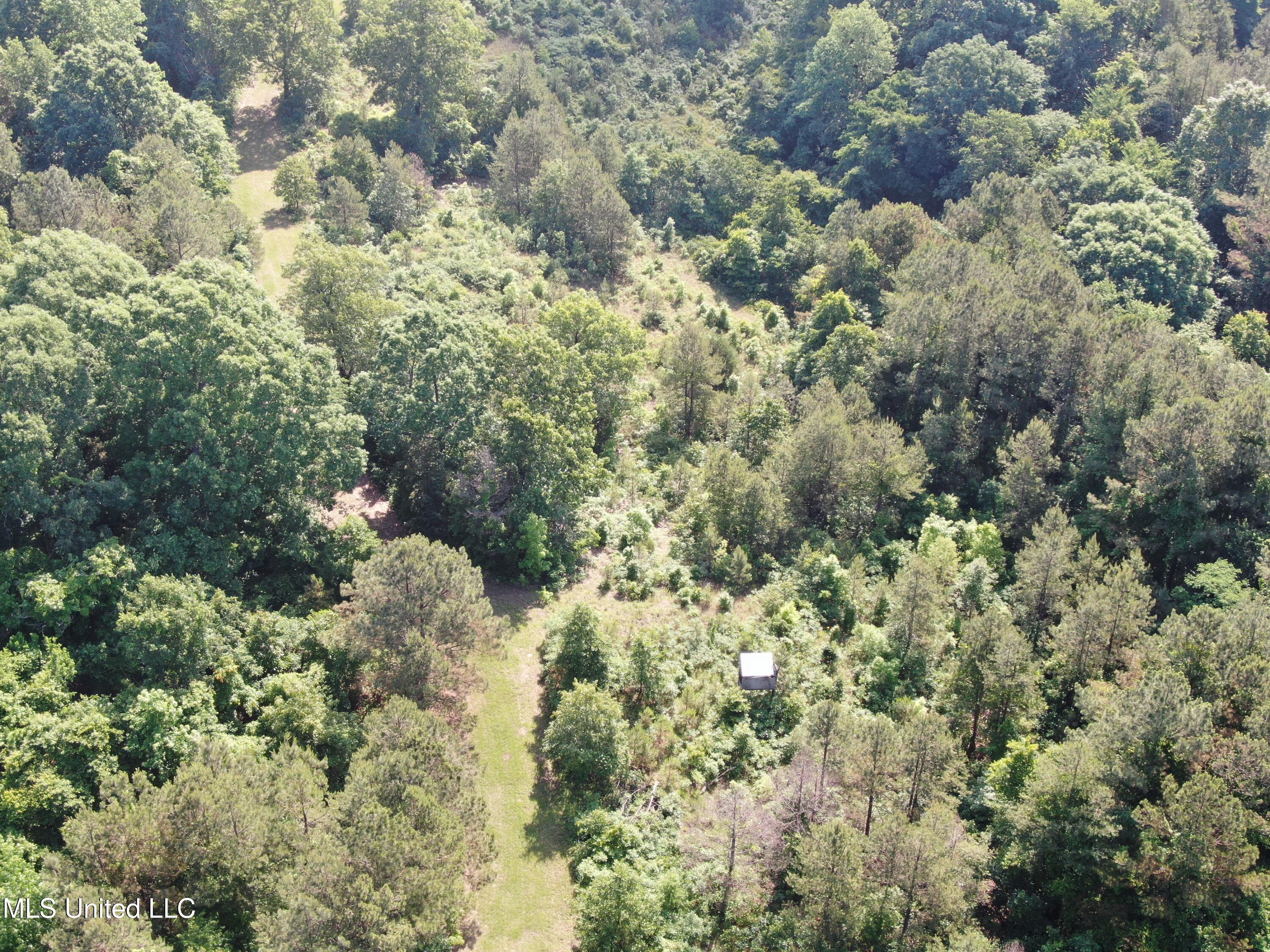 271 Winborn Tower Road Potts Camp, MS 38659 - Photo 4 of 66 DJI_0557