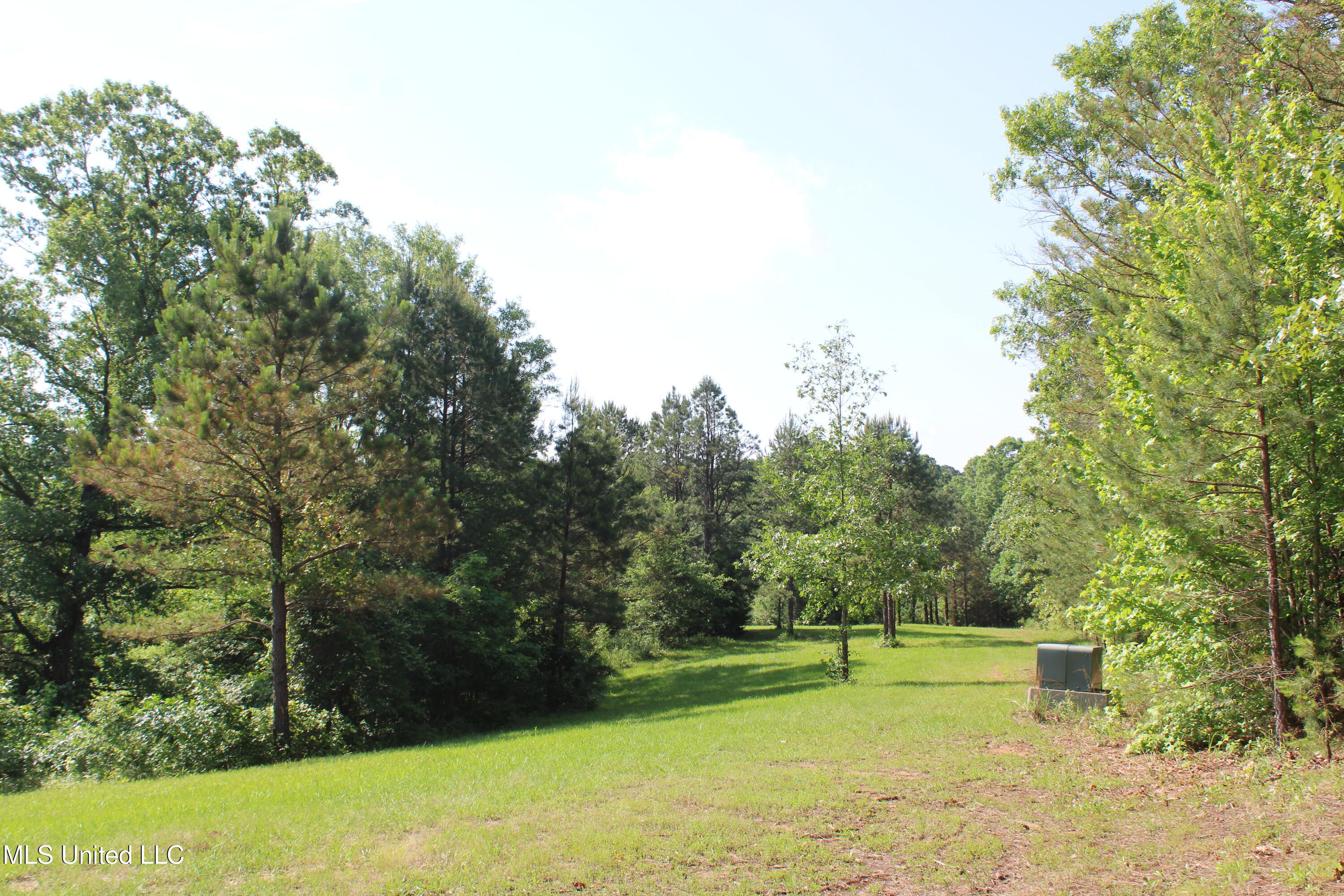 271 Winborn Tower Road Potts Camp, MS 38659 - Photo 44 of 66 IMG_6106