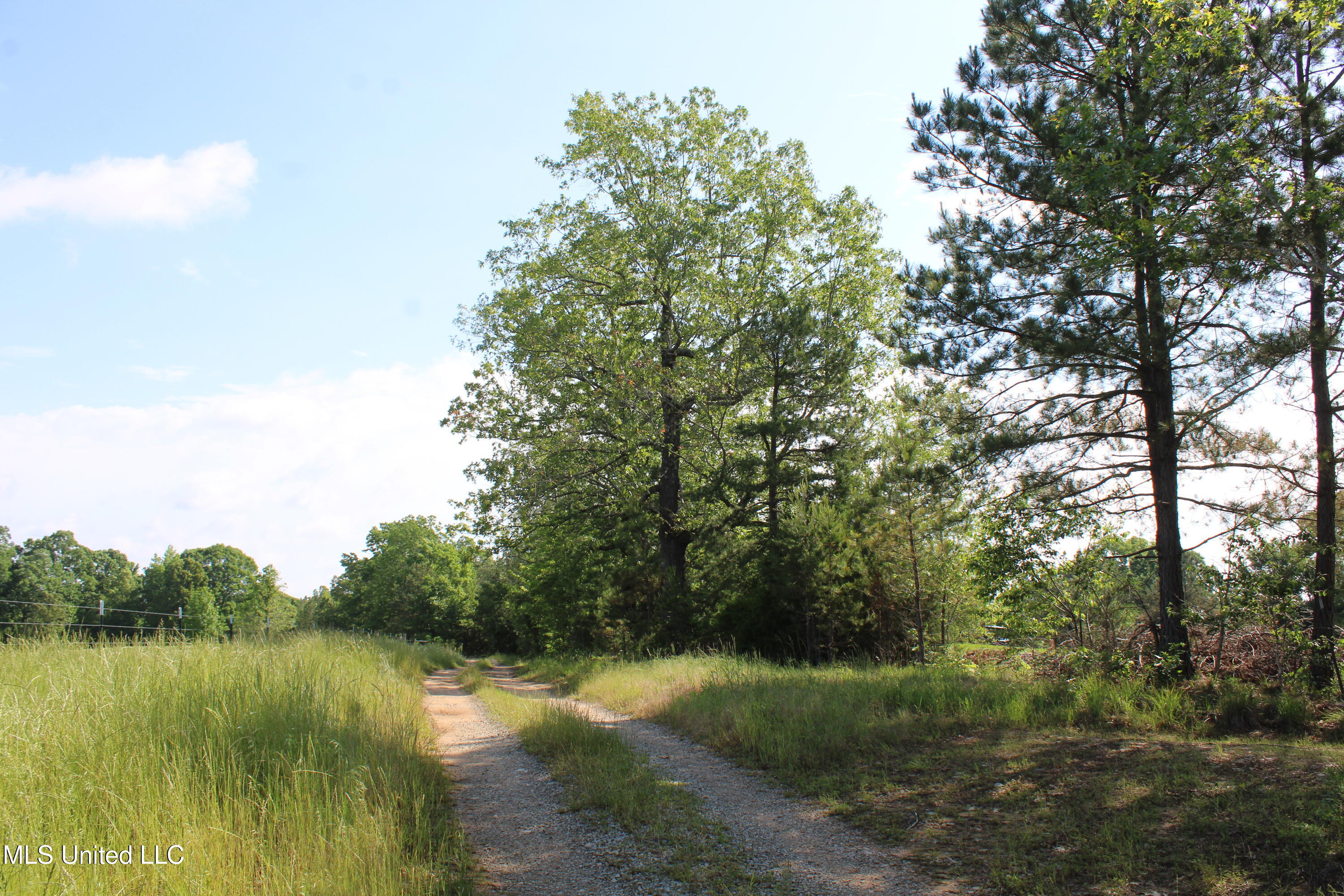 271 Winborn Tower Road Potts Camp, MS 38659 - Photo 45 of 66 IMG_6107