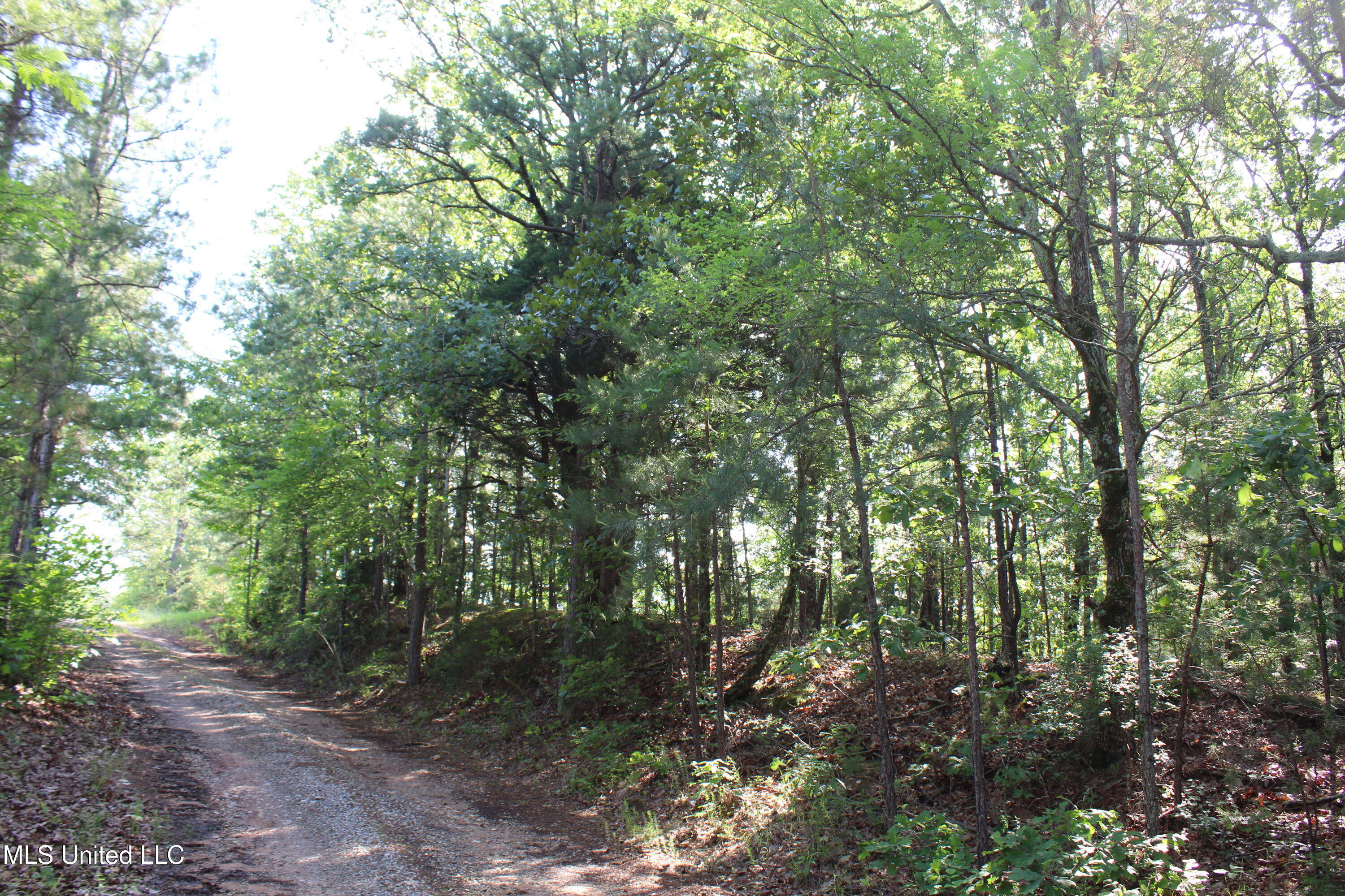 271 Winborn Tower Road Potts Camp, MS 38659 - Photo 46 of 66 IMG_6109