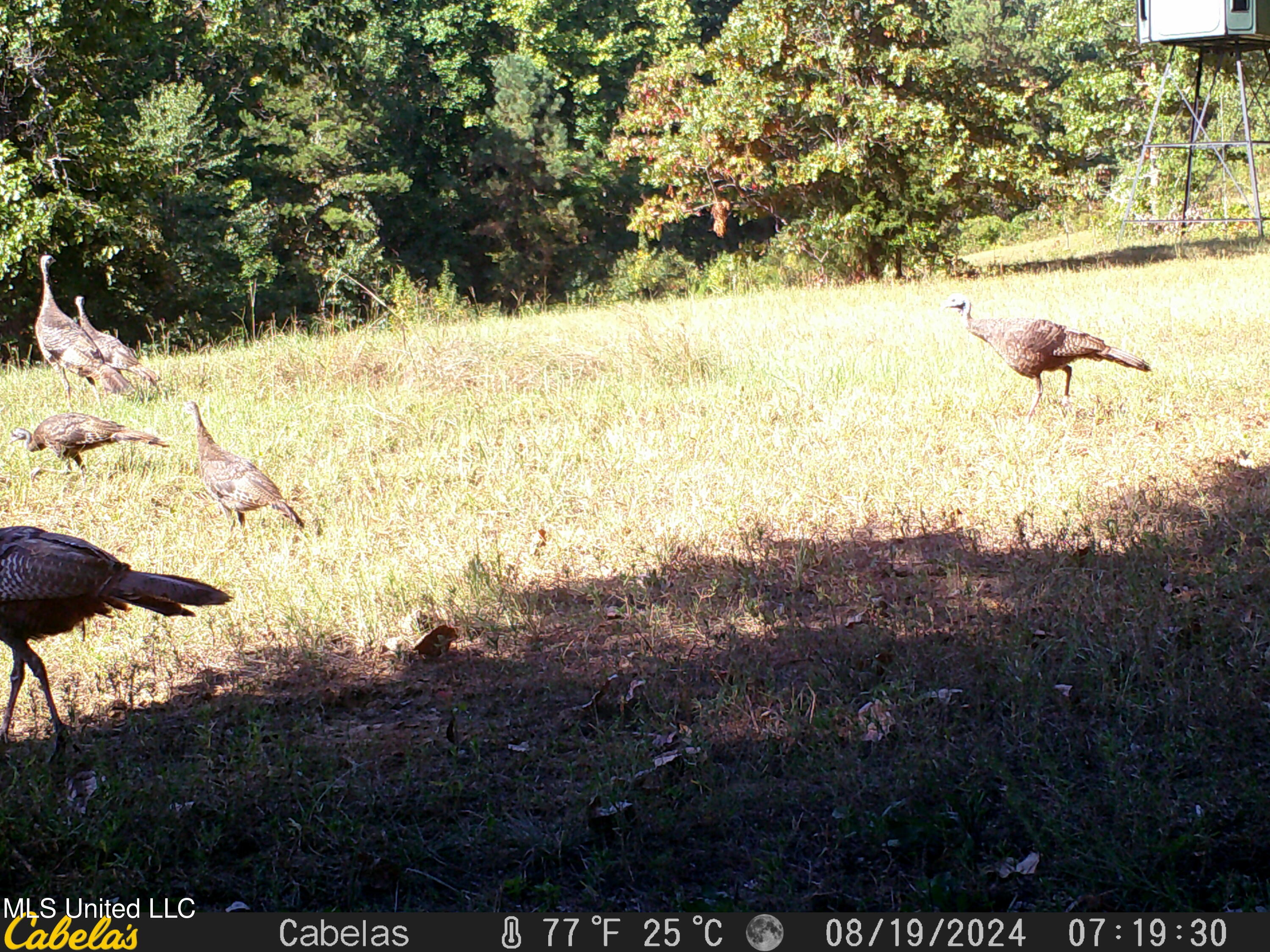 271 Winborn Tower Road Potts Camp, MS 38659 - Photo 49 of 66 Winborn 2