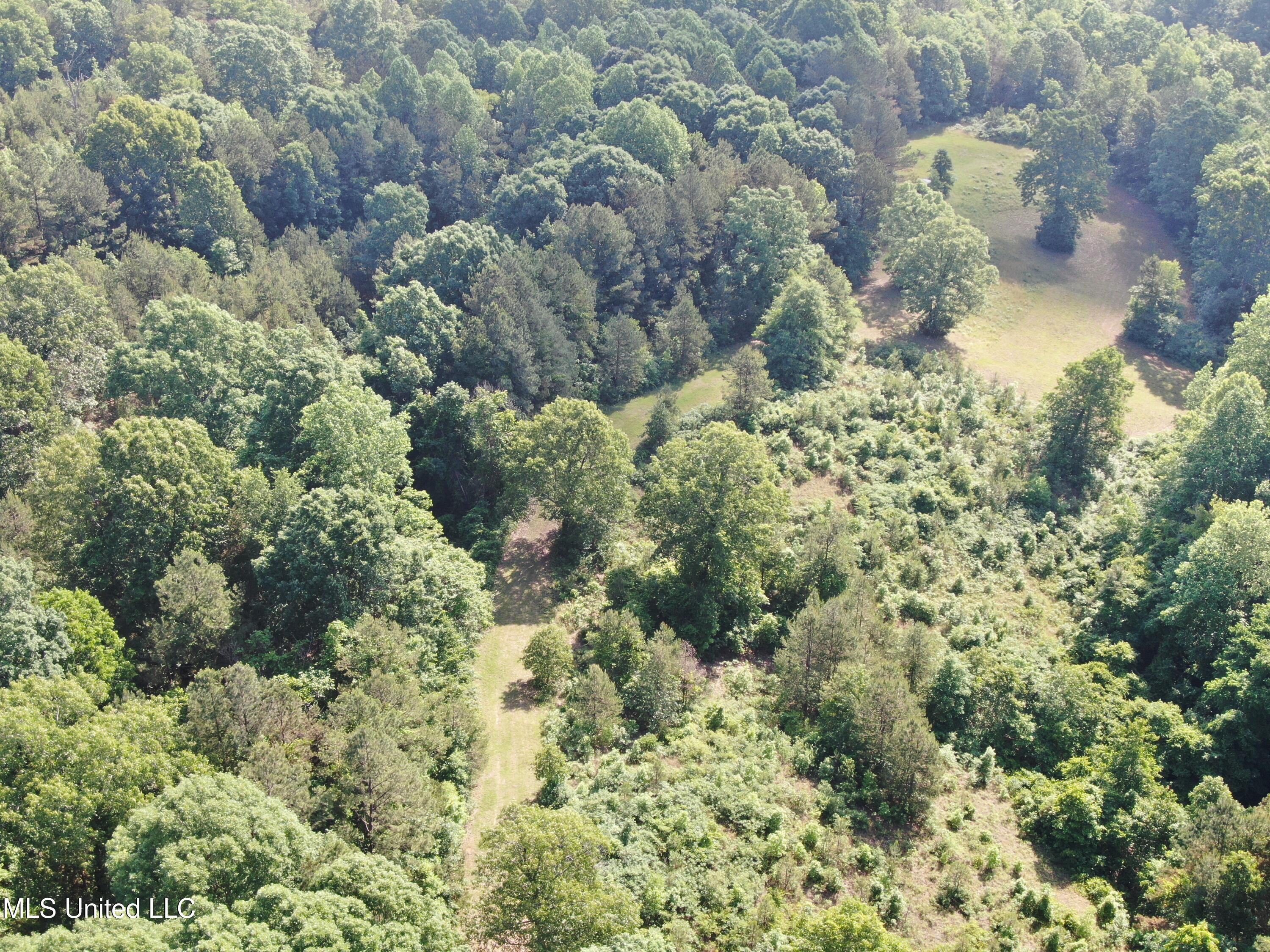 271 Winborn Tower Road Potts Camp, MS 38659 - Photo 5 of 66 DJI_0558