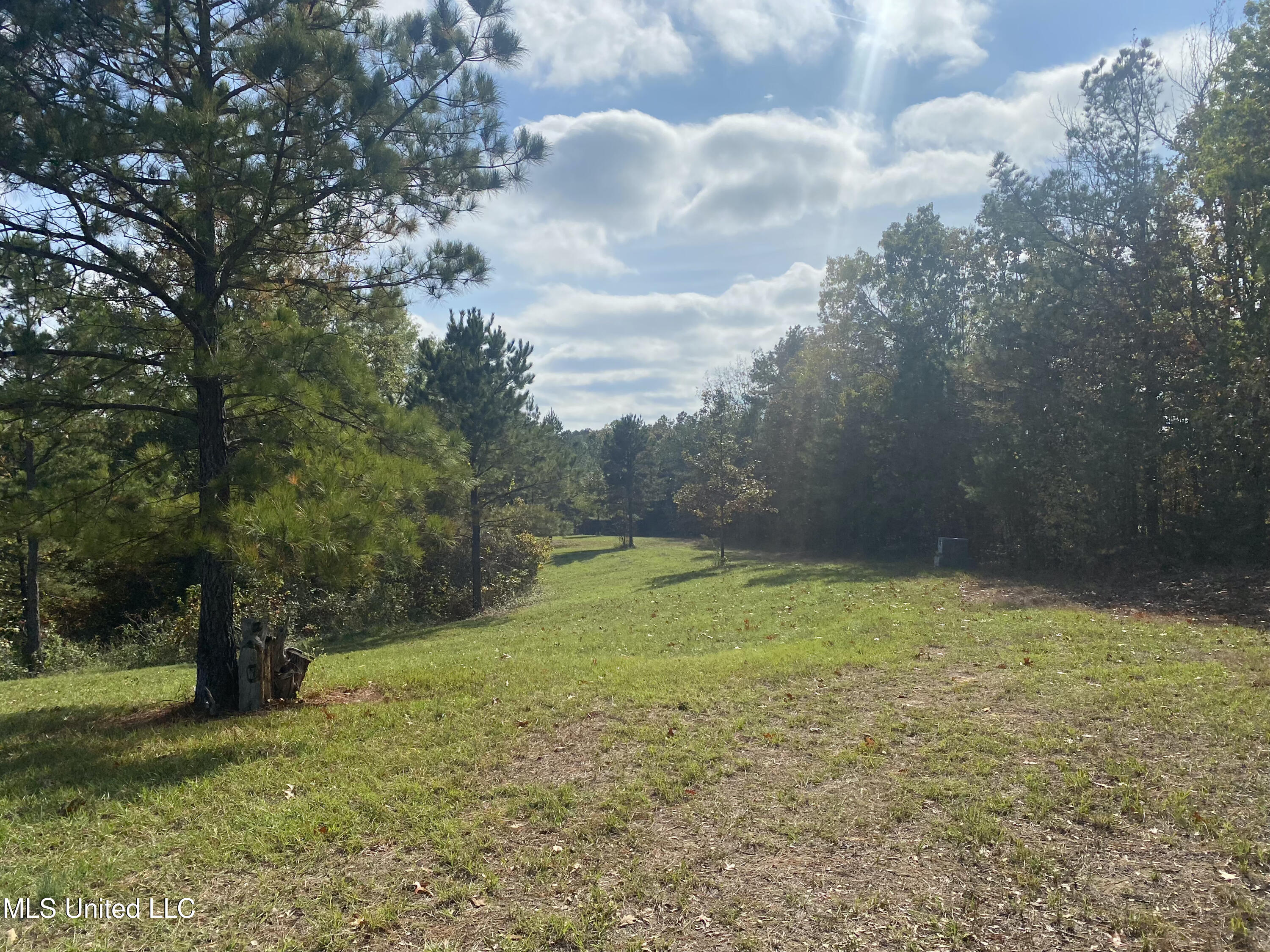 271 Winborn Tower Road Potts Camp, MS 38659 - Photo 55 of 66 Winborn 8