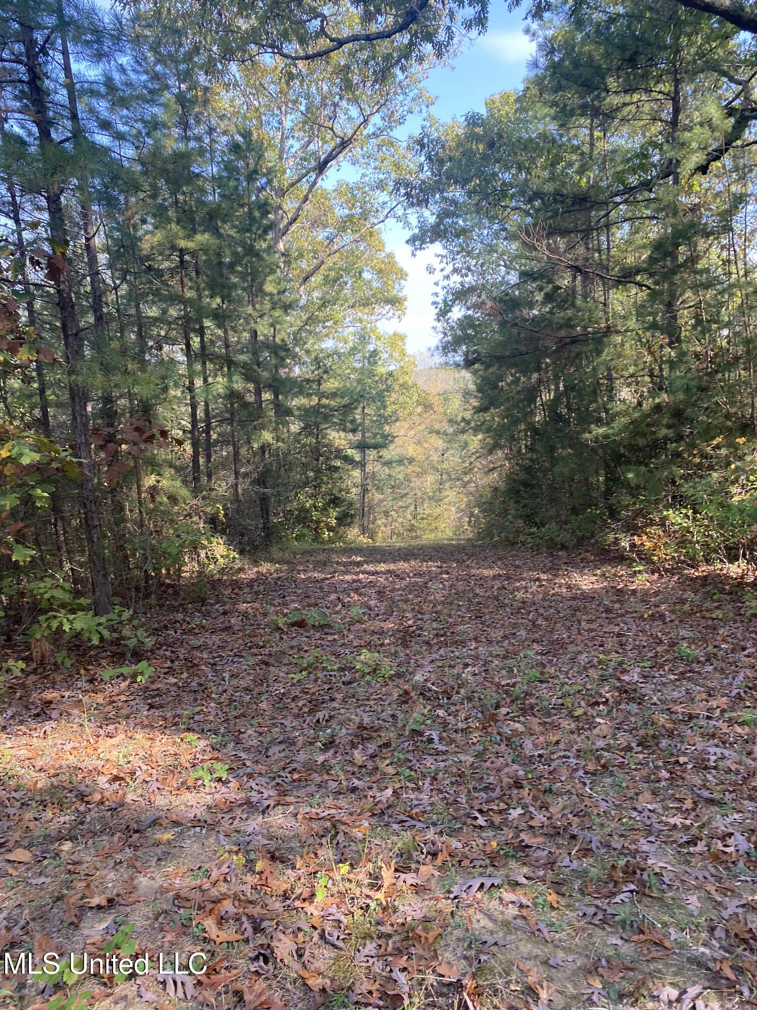 271 Winborn Tower Road Potts Camp, MS 38659 - Photo 56 of 66 Winborn 9